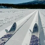 Newly Built Log Near Hardangervidda * Geilo