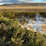 Newly Built Log Near Hardangervidda Geilo