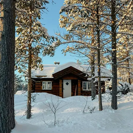 Newly Built Log Near Hardangervidda