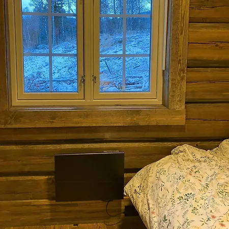 Newly Built Log Near Hardangervidda