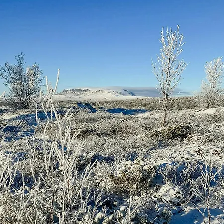 Newly Built Log Near Hardangervidda