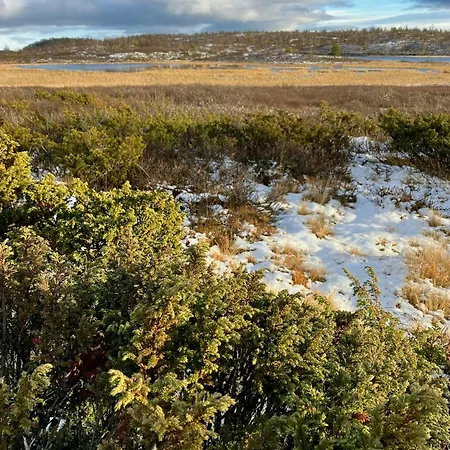 Newly Built Log Near Hardangervidda * Flataker