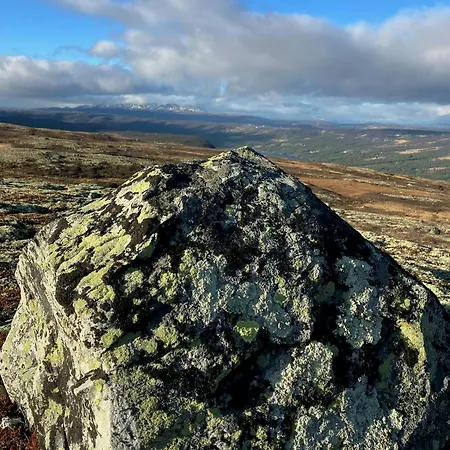 Newly Built Log Near Hardangervidda Σπίτι διακοπών Flataker