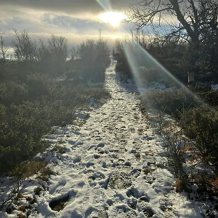 Newly Built Log Near Hardangervidda * Flataker