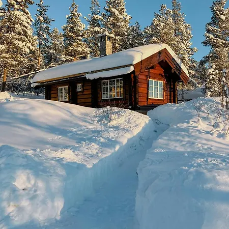 Newly Built Log Near Hardangervidda ヤイロ