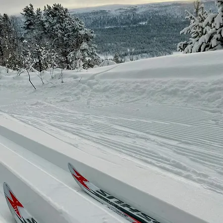 Newly Built Log Near Hardangervidda *