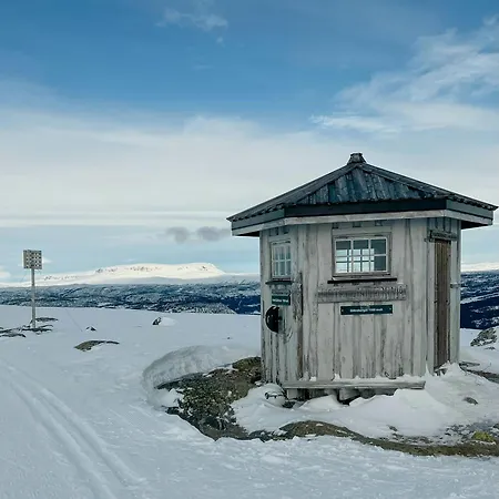 Newly Built Log Near Hardangervidda Feriehus
