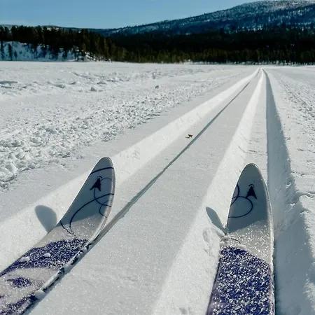 Newly Built Log Near Hardangervidda * ヤイロ