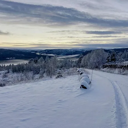 Newly Built Log Near Hardangervidda Feriehus